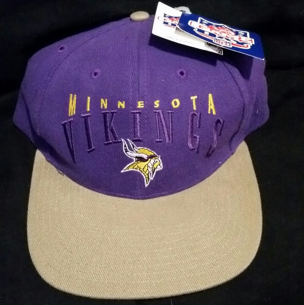 Vintage Minnesota Vikings Twins Enterprise Hat